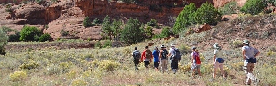 Visitors on ranger led hike