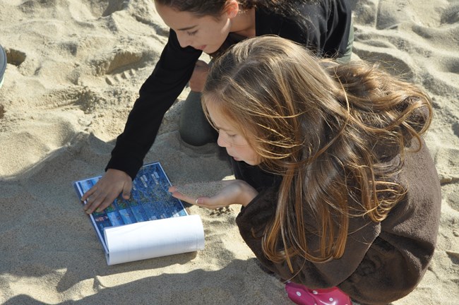 Students study weathering on the beach with sand.