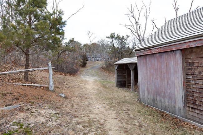 A photo shows a driveway with a wooden building visble in the distance and a wooden building visible to the right of the viewer.