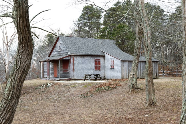 An older gray, one-story, wooden shingled building is seen through trees.