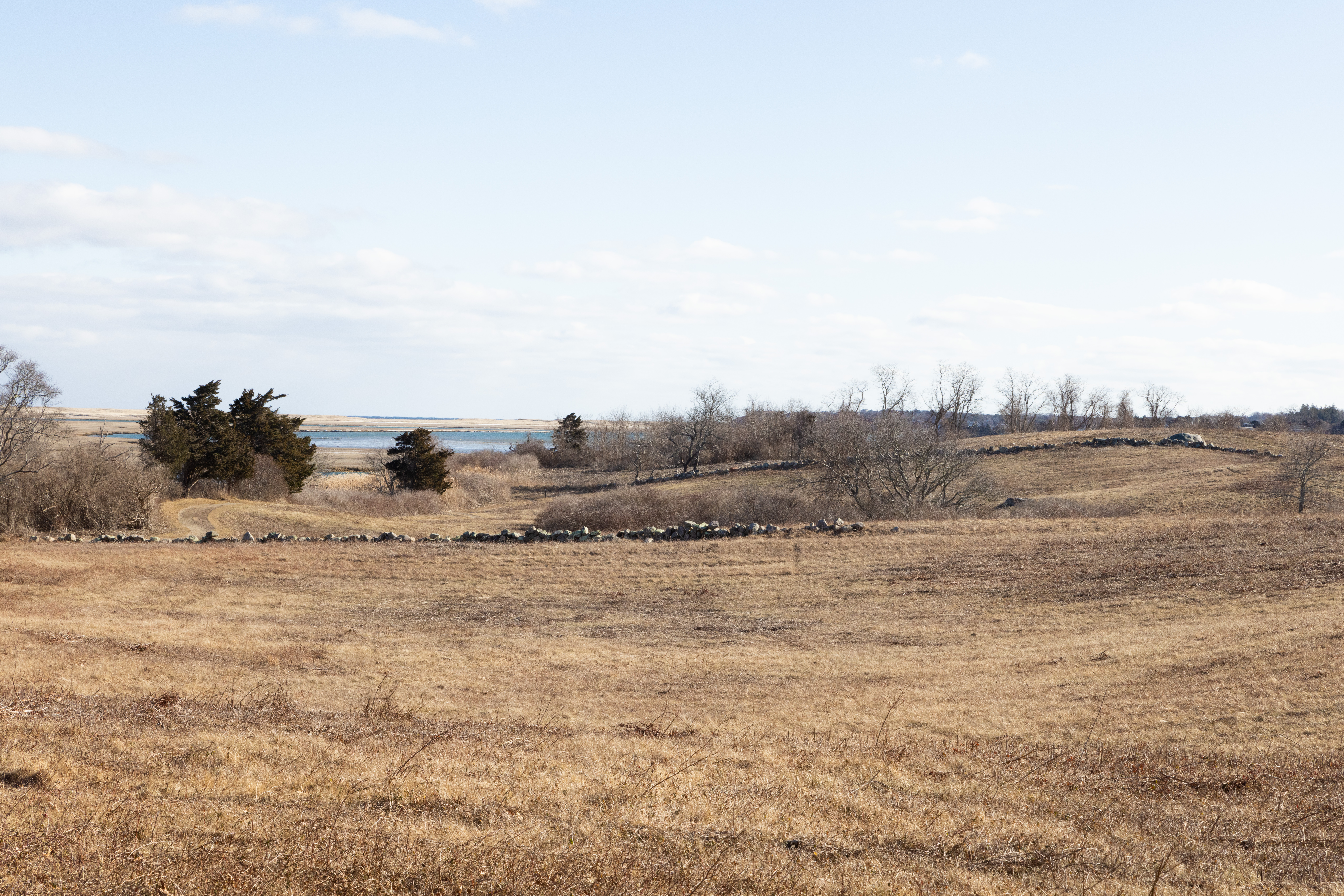 A photo of a grassy hill with a visible stone wall and ocean visible in the distance.