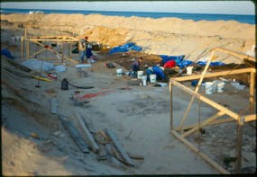 Carns Site, Coast Guard Beach, Eastham, 1990