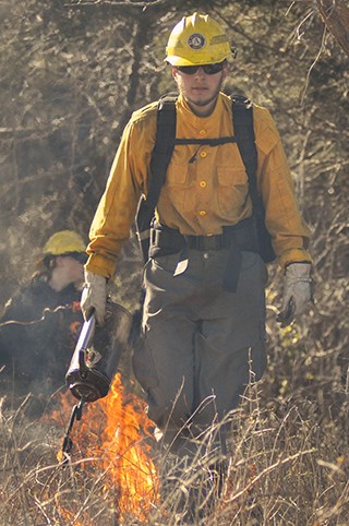 A man with a hand held fire torch and yellow fire fighting clothing walks along a stretch of dry grass.
