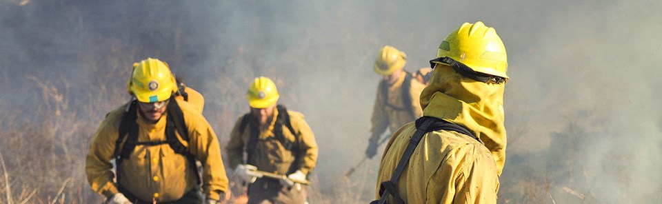 A person in yellow fire fighting gear looks back at three more people walking along the edge of a grassy field in the smoke.