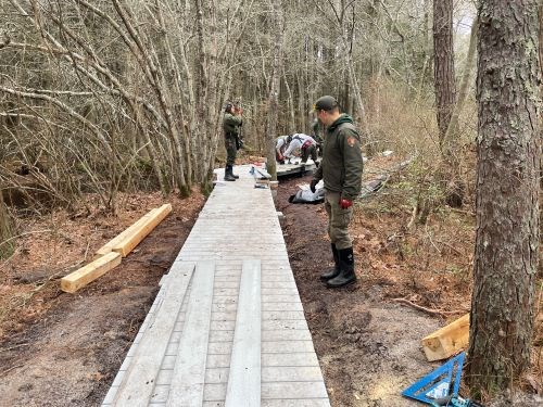 Park staff work on boardwalk replacement on a trail.
