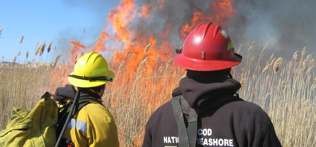 A CACO fire crew monitors a prescribed burn
