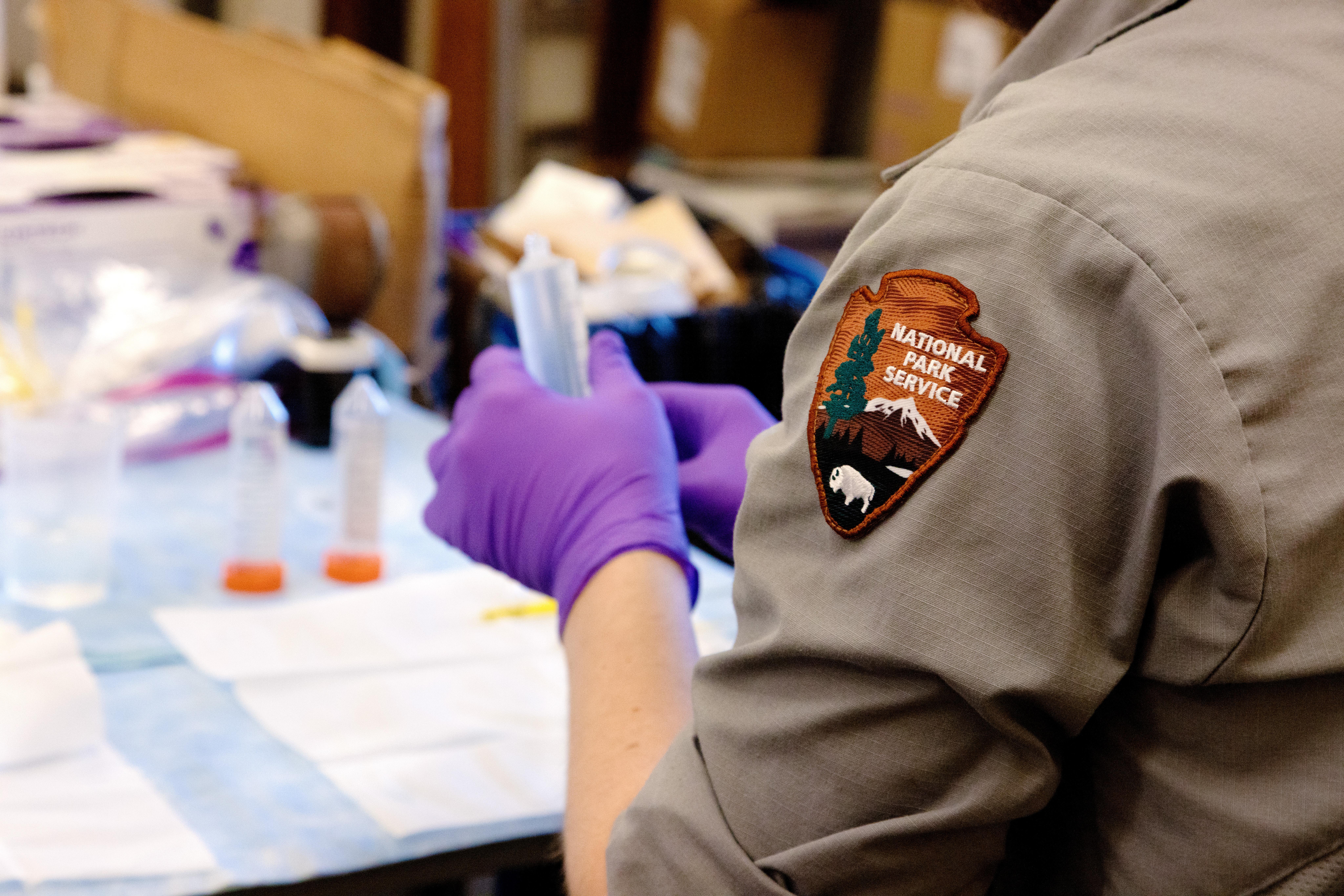 A National Park Service Patch is seen in clear view in this over the shoulder close-up with gloved hands and test tubes working in the background.