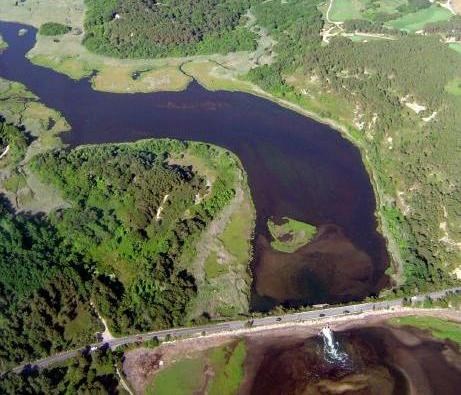 Herring River (July 4, 2004)