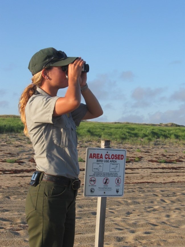 An NPS staff member stands with binoculars near a post on a beach.