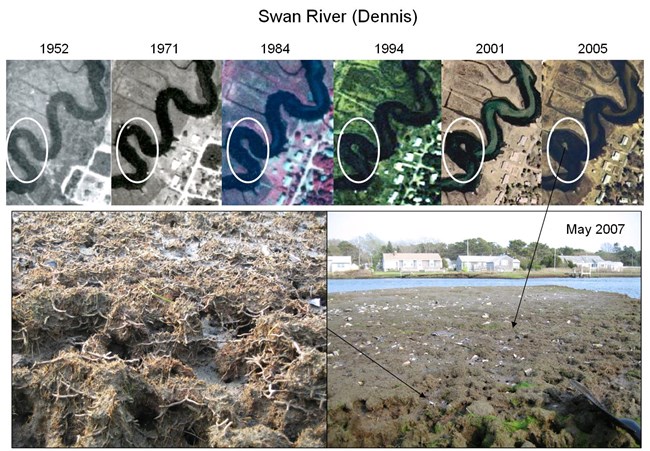 Changes in the Swan River (Dennis) over time.