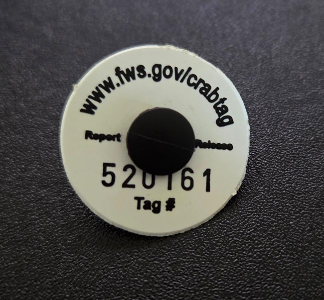 round white tag with numbers and link to FWS site.