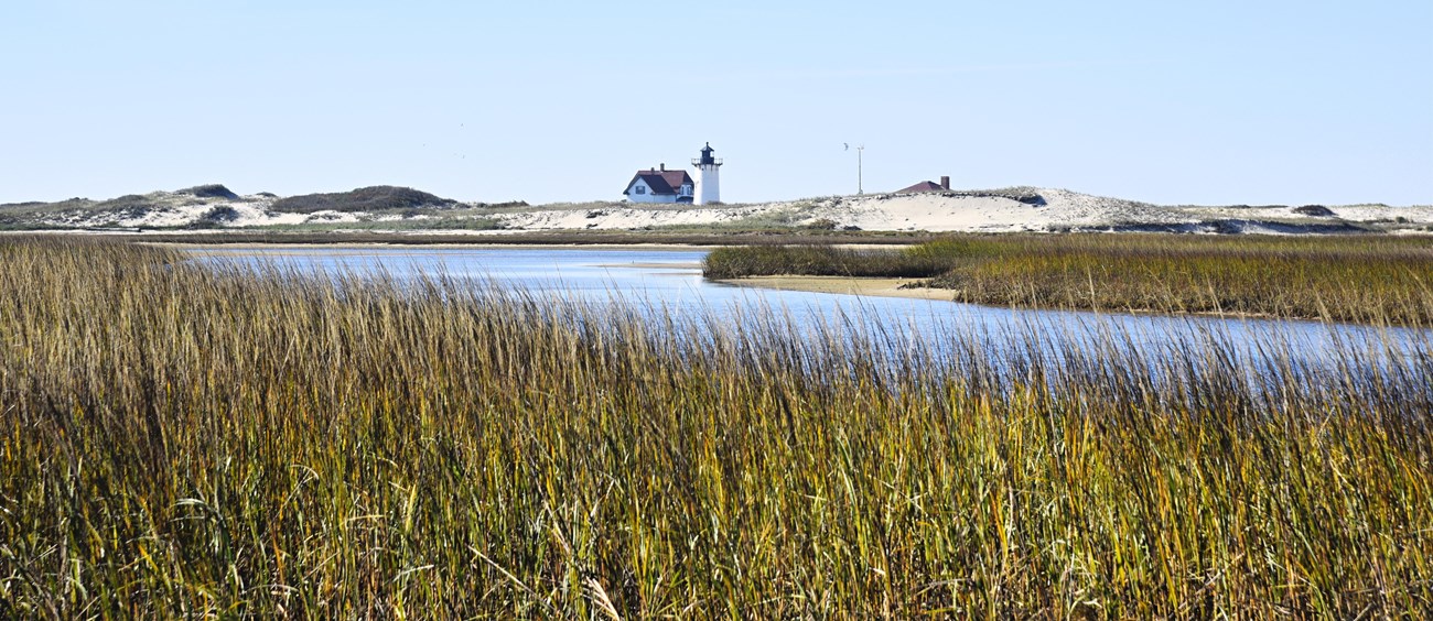 hatches harbor narrow img