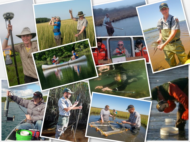 A collage of Cape Cod National Seashore science staff involved in a variety of research and monitoring activities.