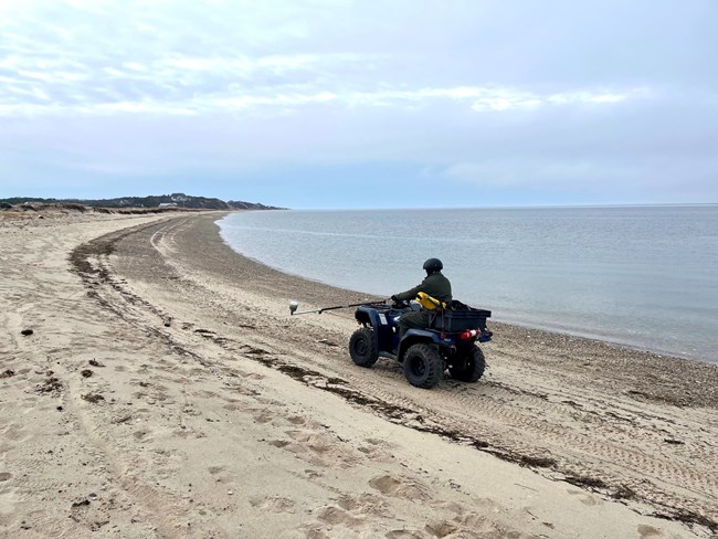A park scientist on an atv rides along a shoreline holding an instrument perpendicular to the ground.