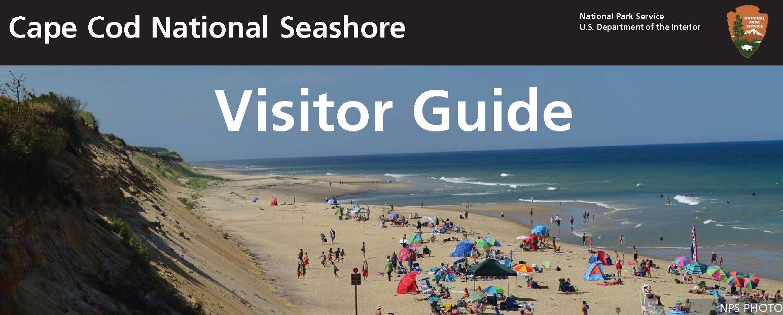 visitor guide banner, black bar with seashore beach image