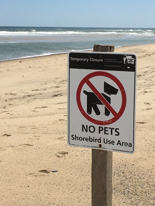 Image of a sign on the beach advising no pets