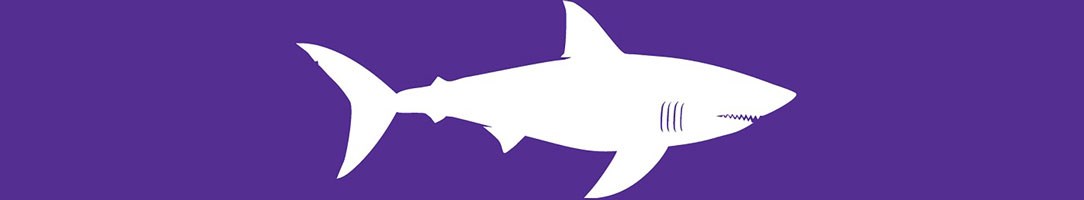 Shark Safety at Cape Cod - Cape Cod National Seashore (U.S. National