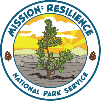 Mission: Resilience logo. Pine tree growing out of a crack in the earth with a bright orange and yellow sunrise in the background.