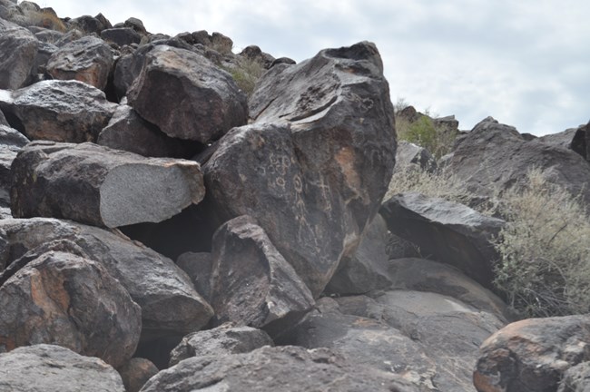 boulder field of dark colored rocks with white petroglyphs