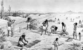 Paul Coze illustration of Hohokam tending a field