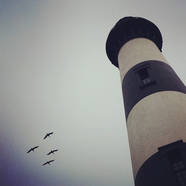 Four brown pelicans flying by Bodie Island Lighthouse.