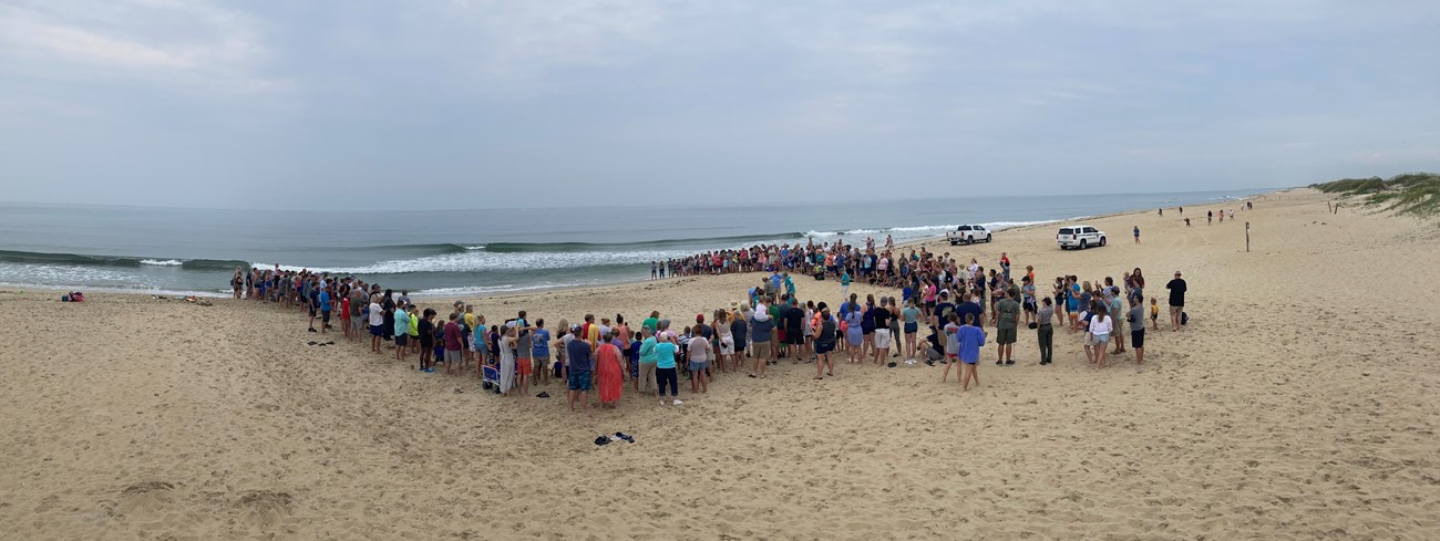 Distance view of group of people gathered on the beach.