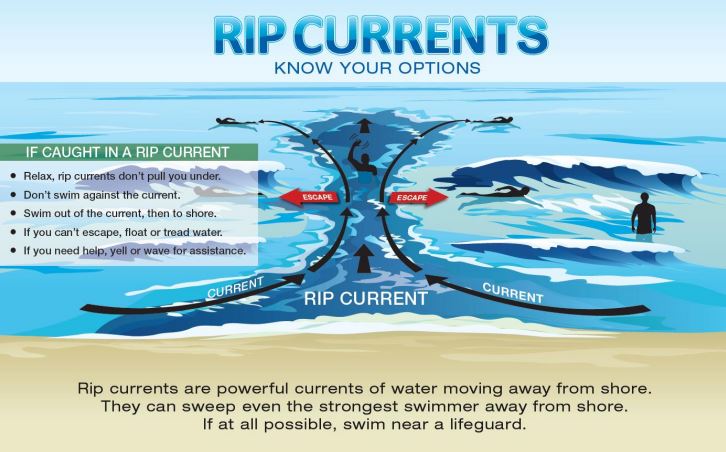 Graphic showing your options if caught in a rip current.