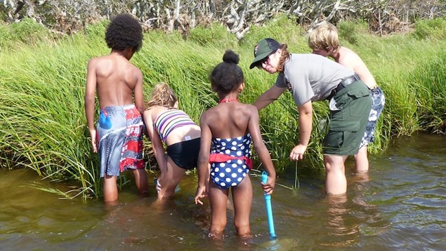 Ranger and kids seining in salt marshes of Pamlico Sound