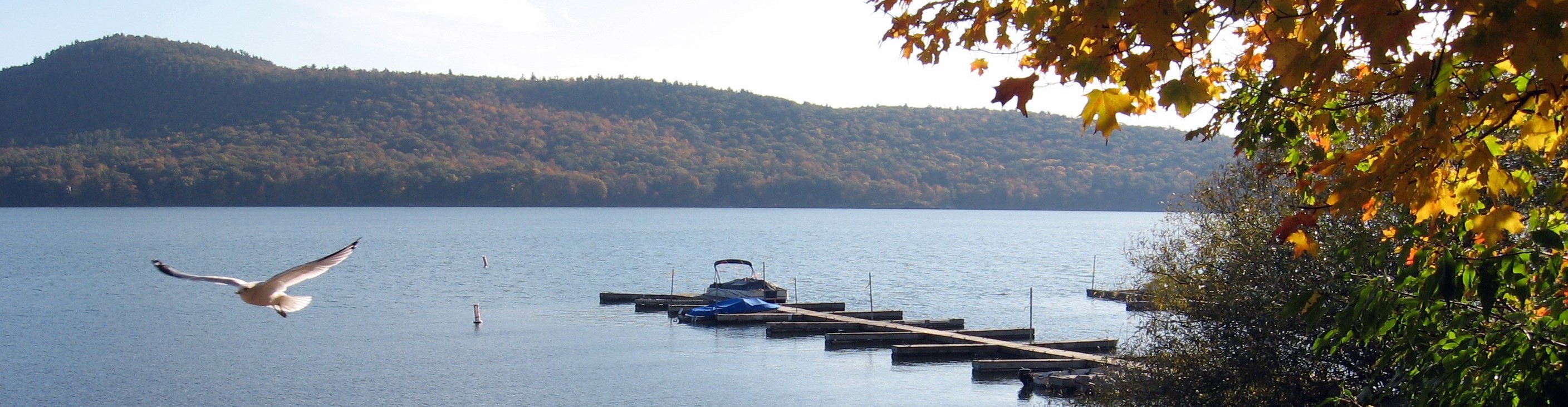 A seagull flies over a lake with mountains and a boat dock.