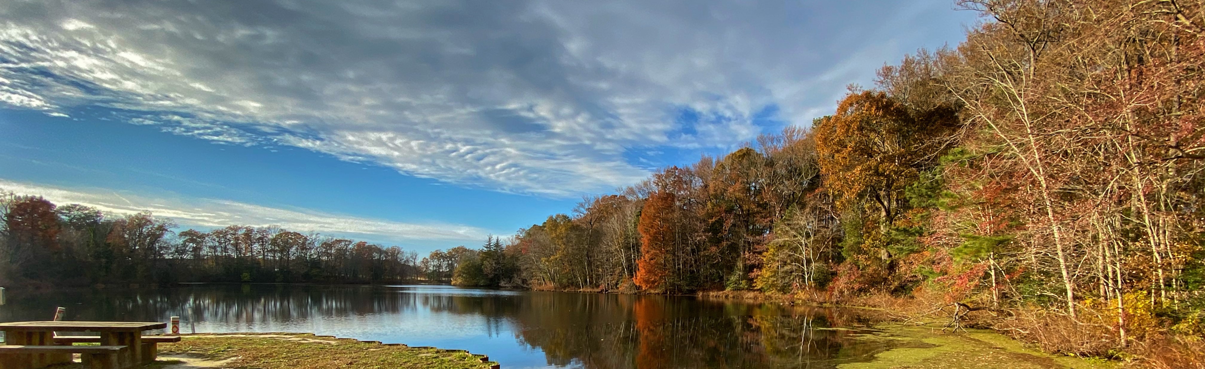 A picnic table next to a pond with fall foliage