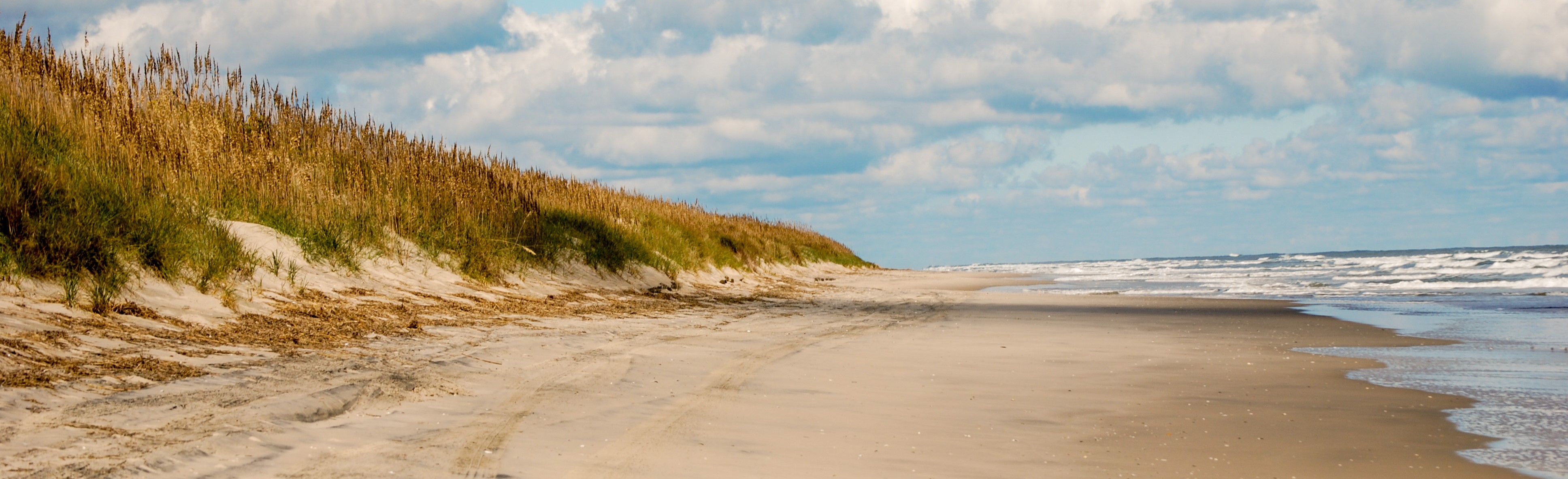 A beach scene on a sunny day with a grassy drune