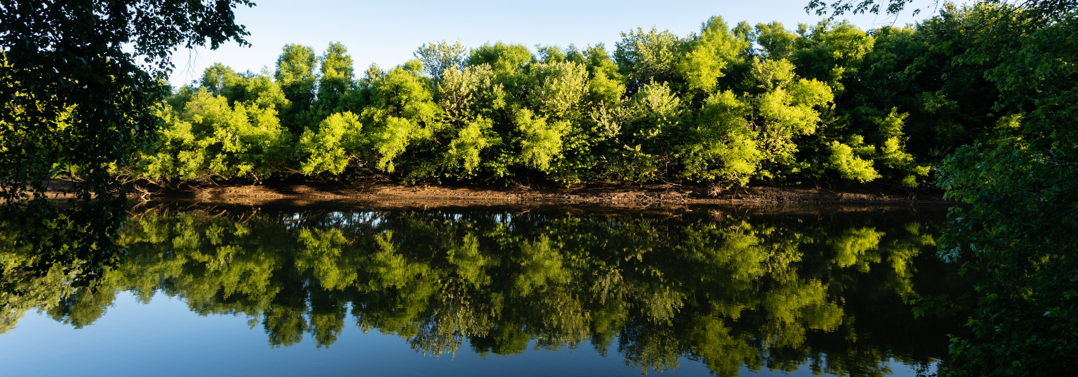 A river with trees reflected in the water