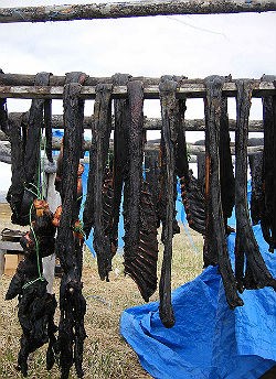 Strips of meat hang from a wooden rack