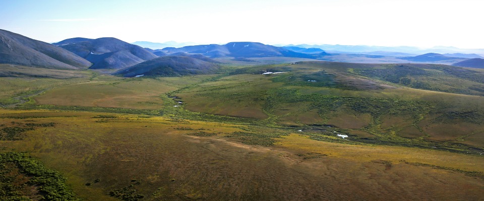 green tundra with mountains in the background