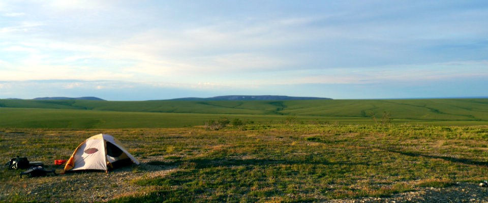 tent on green tundra