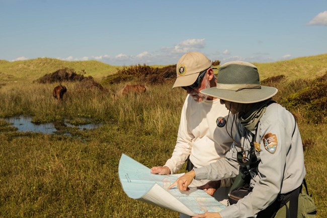A volunteer works with a ranger on locating horses
