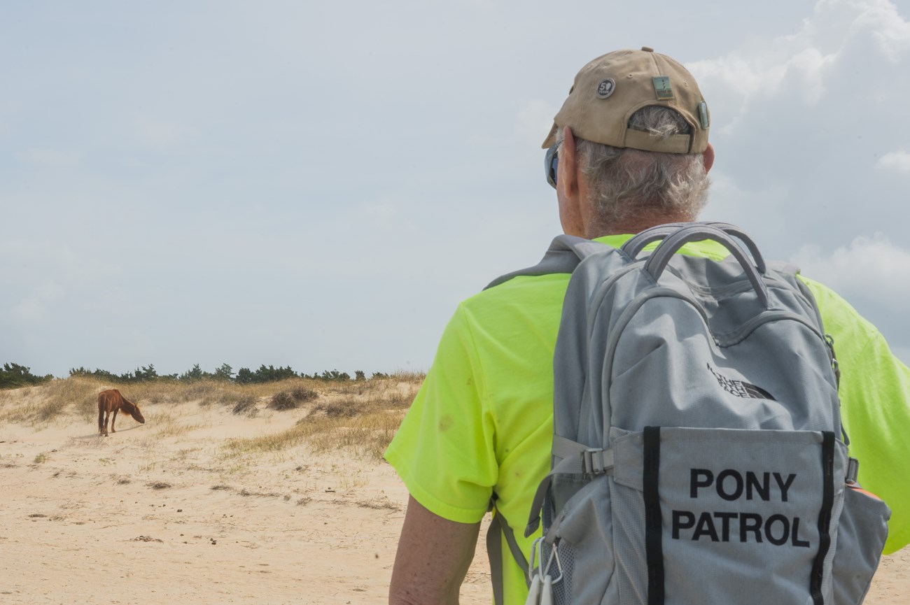 A person wearing a backpack watches a horse on sand dunes