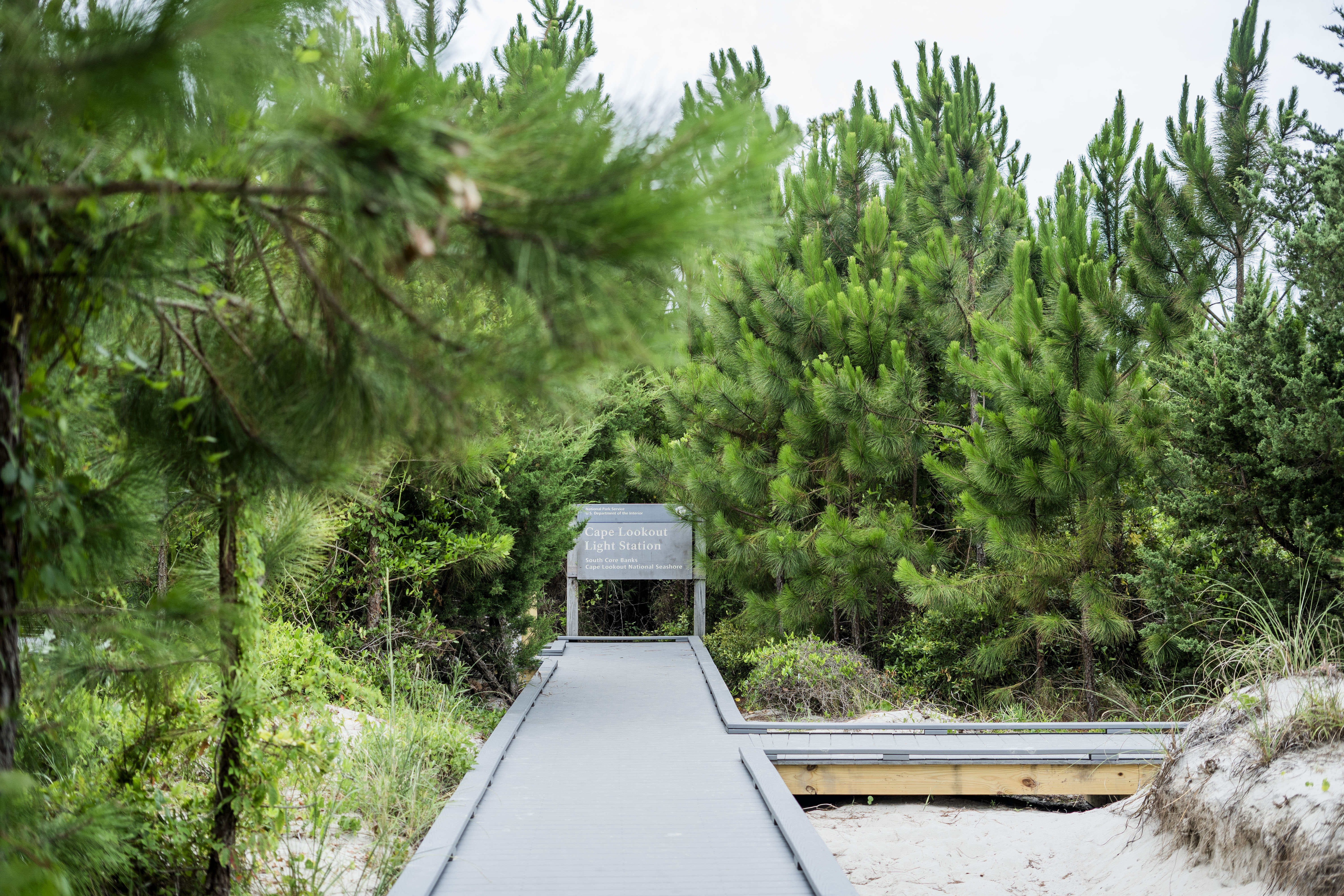 Blue boardwalk surrounded trees and sand leading to a sign that says "Cape Lookout Light Station."