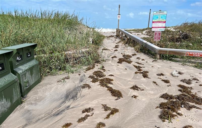 Image shows sand covering a boardwalk leading to the ocean. There are waves crashing in the background. Sand dunes flank the boardwalk and green trash cans are to the left.