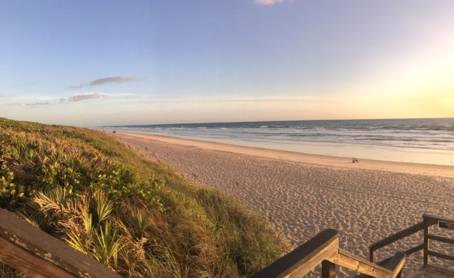 Canaveral National Seashore