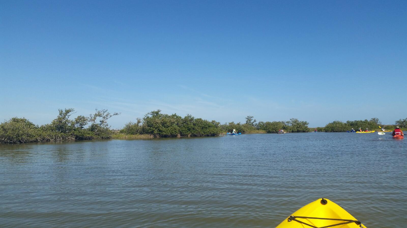 Paddle Mosquito Lagoon