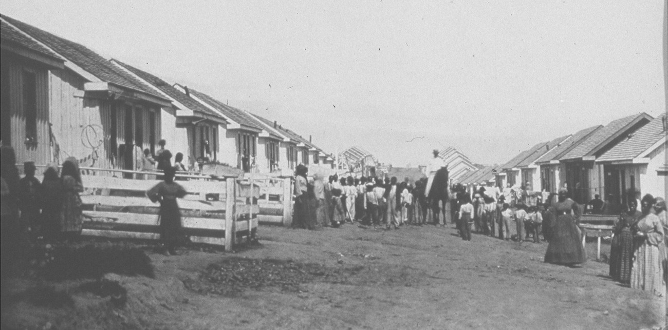 African American refugees standing between refugees cottages at Camp Nelson in 1865.