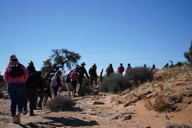 A group of students and adults walk in a single file on a trail between desert vegetation and rocks