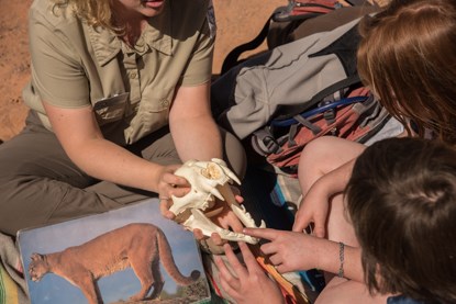 a volunteer wearing brown holds up a skull with sharp teeth as students look on