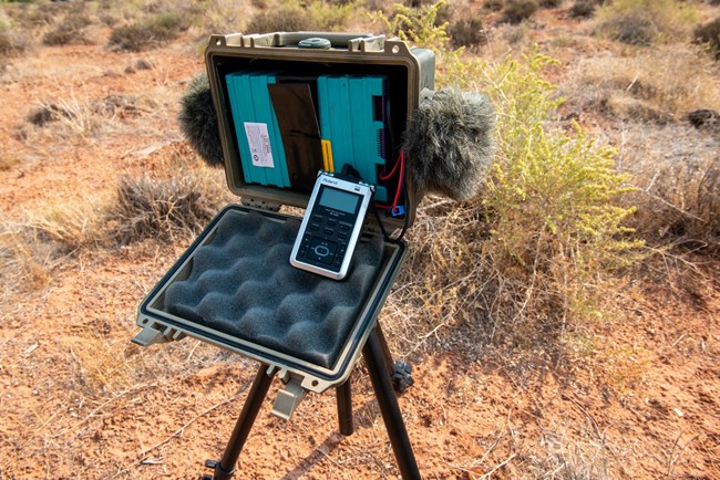 A box filled with sound monitoring equipment sits on a tripod in the park.