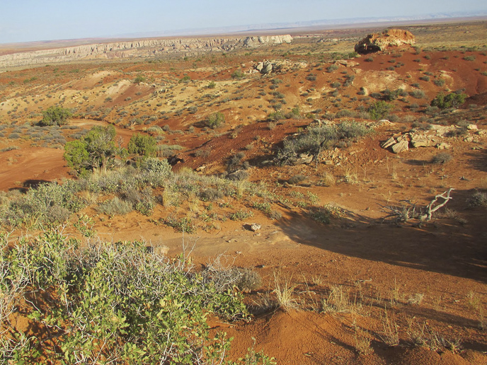The gentle slopes of the Carmel Formation
