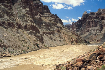 Honaker Trail Formation