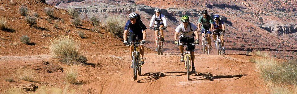 a group of mountain bikers on a gravel road