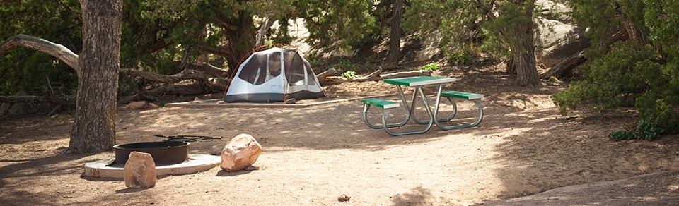 A tent and picnic table at a campsite