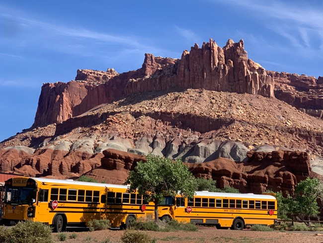 Two bright yellow and black school buses parked below towering red cliffs, with blue sky above.